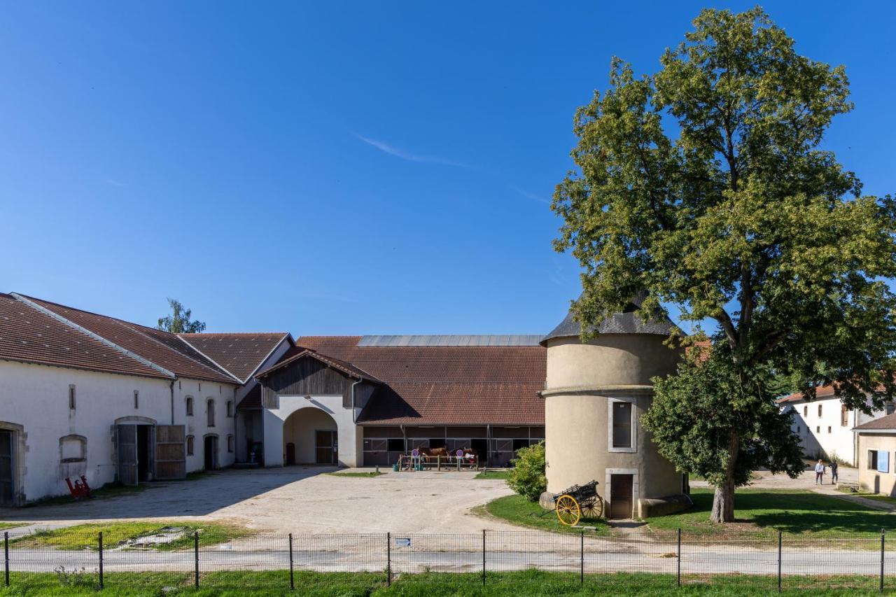 Hotel Au Chateau Villers-lès-Nancy Eksteriør billede