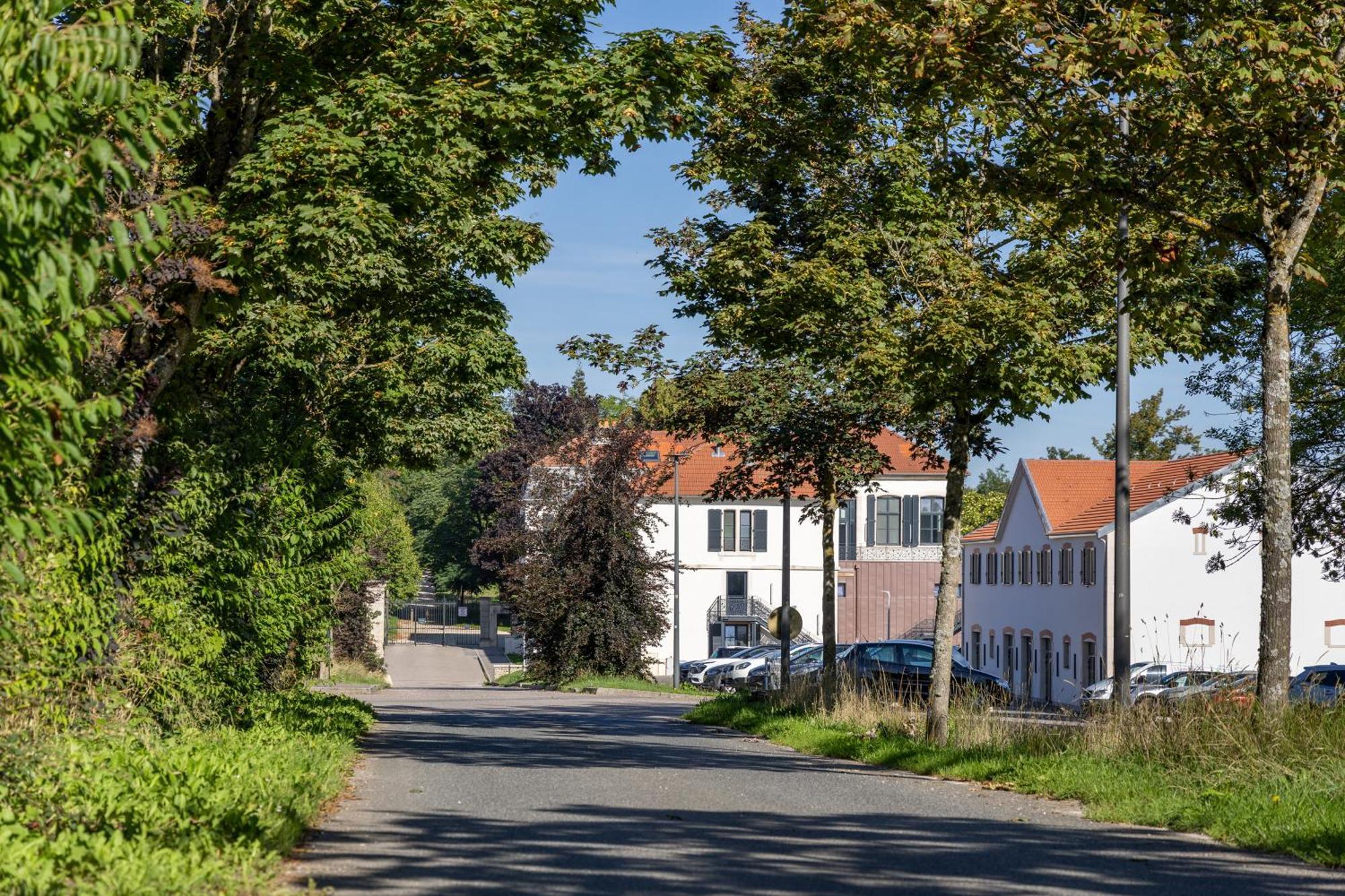 Hotel Au Chateau Villers-lès-Nancy Eksteriør billede